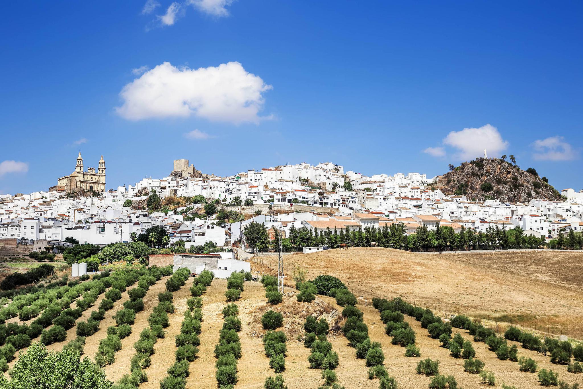 Spain andalucia cadiz grazalema olvera c