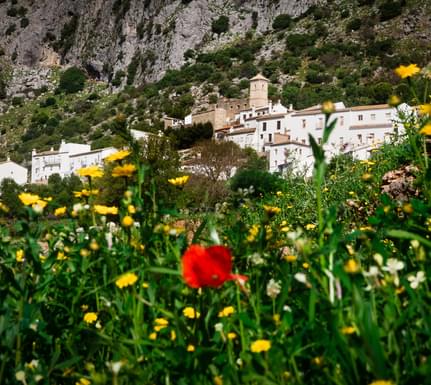Spain andalucia villaluenga del rosario c casa de los cuadros