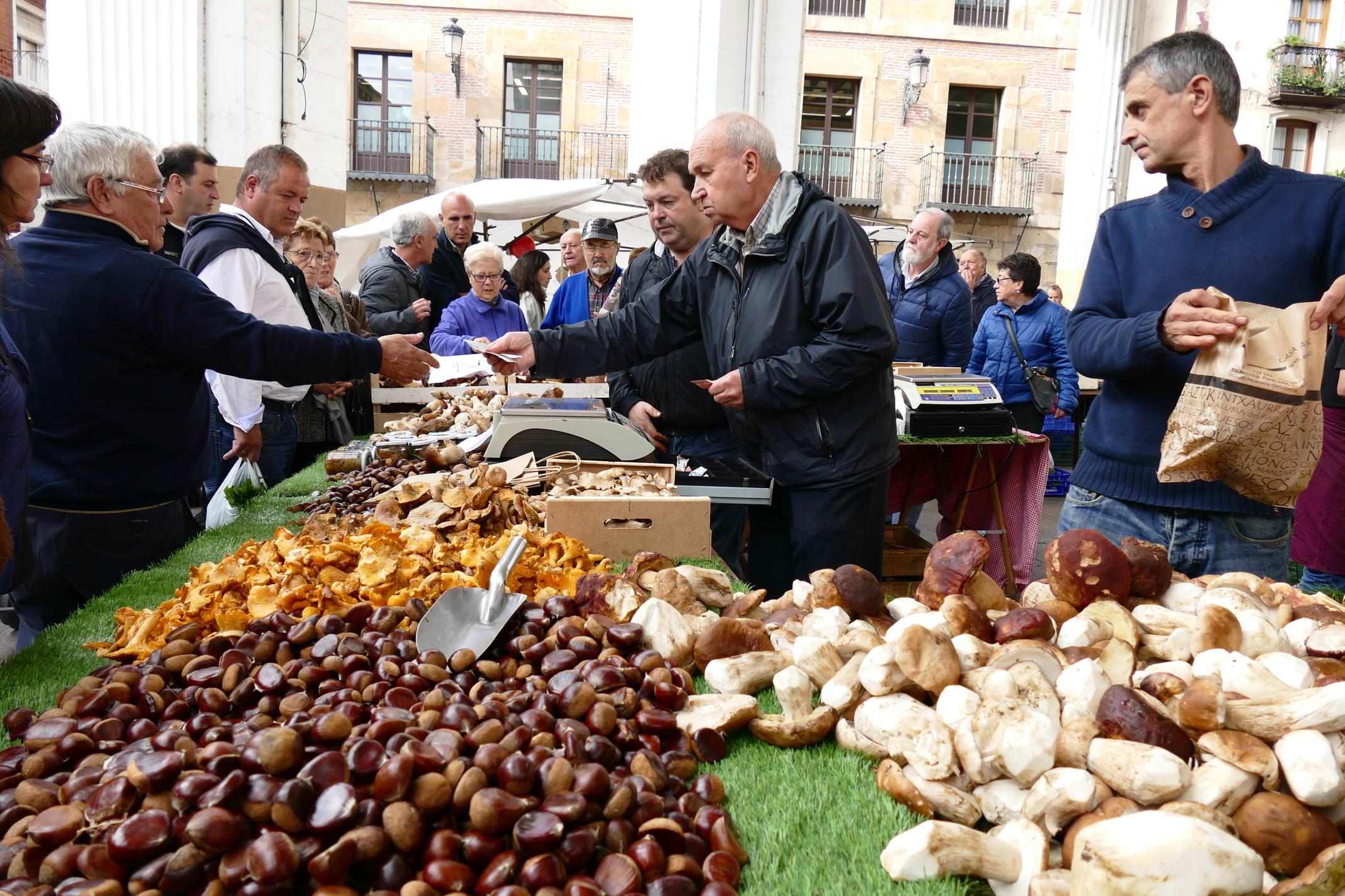 Spain basque country ordizia market mushrooms chestnuts