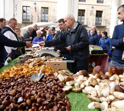 Spain basque country ordizia market mushrooms chestnuts