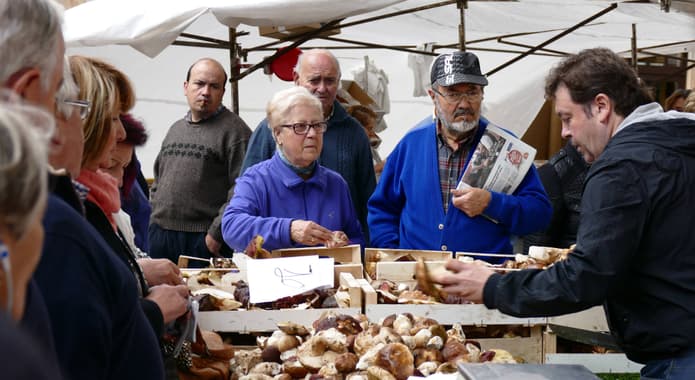 Spain basque country ordizia market shopping for mushrooms