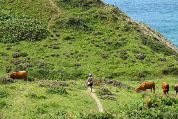 Spain basque inn to inn camino del norte zumaia cliffs hiker