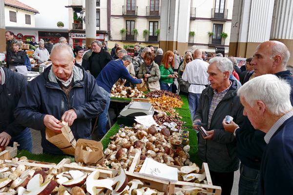 Spain basque ordizia market boletus 2 c david pura