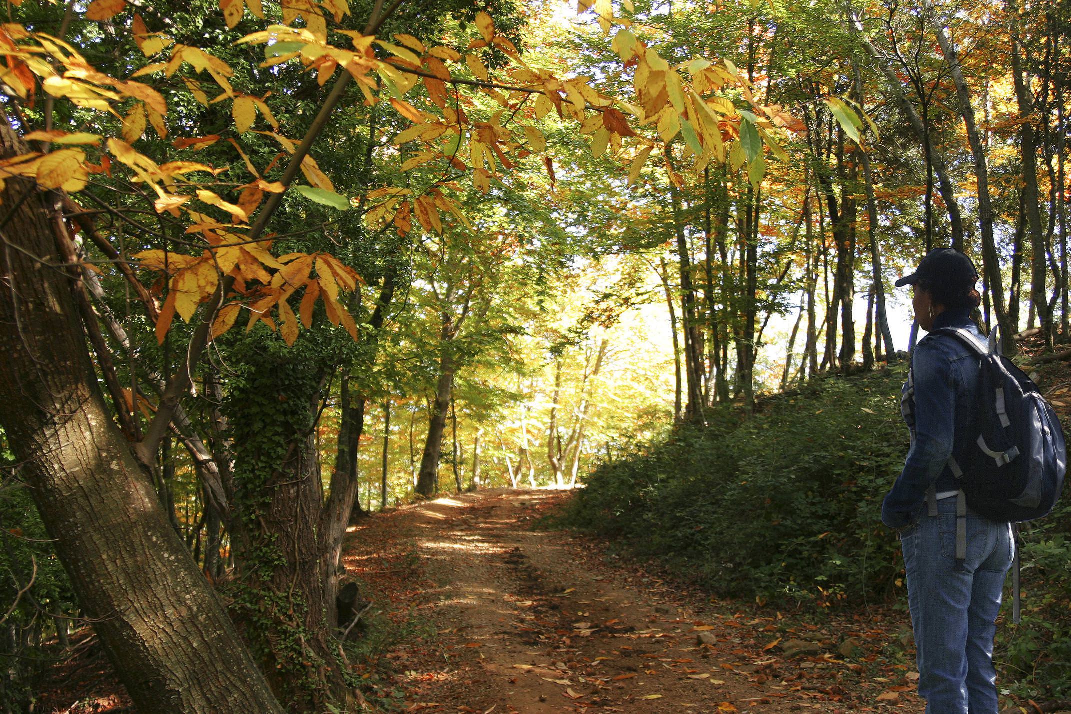 Spain catalonia garrotxa ventos autumn c ventos