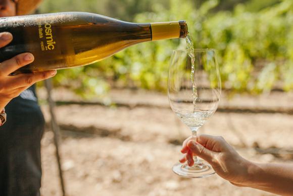 cava wine pouring penedes