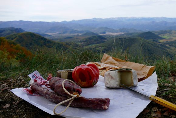 Spain catalonia garrotxa mushrooms robellons