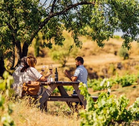 picnic winery priorat catalonia