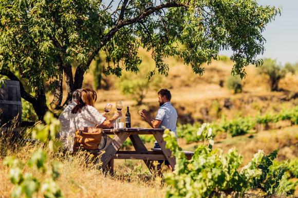 picnic winery priorat catalonia