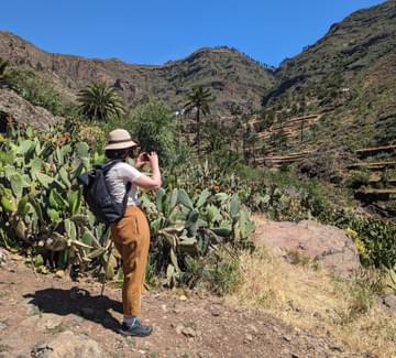 wine vilaflor tenerife
