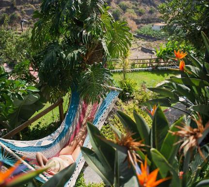 Spain la gomera hermigua los telares garden 2