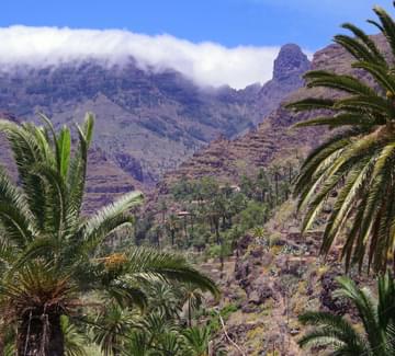 guarimiar gorge la gomera