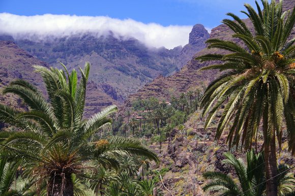 guarimiar gorge la gomera