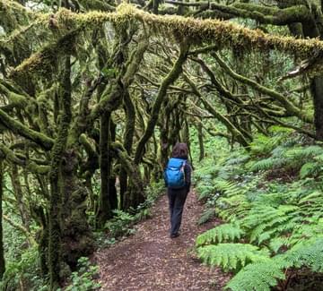 walking garajonay national park la gomera