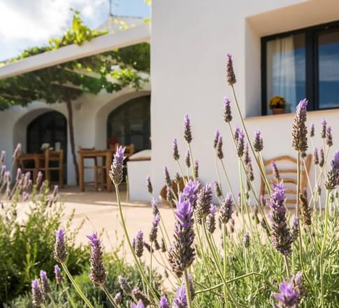 Stay at two idyllic Menorca countryside hotels