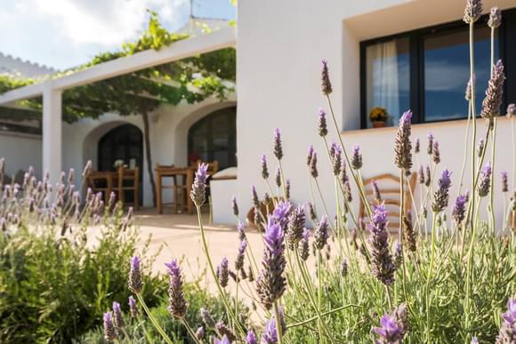 Stay at two idyllic Menorca countryside hotels