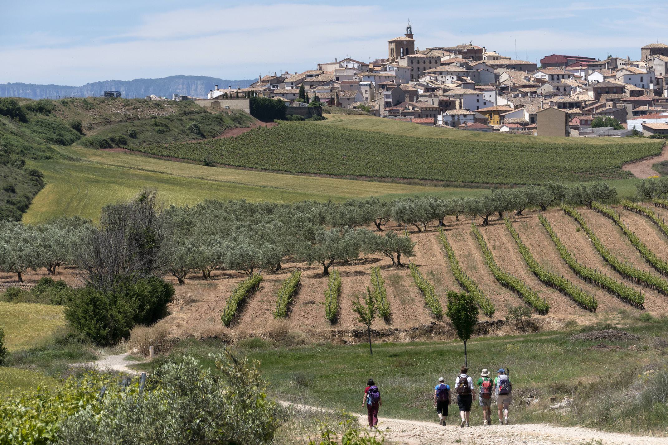 Spain navarre camino cirauqui group c dmartin