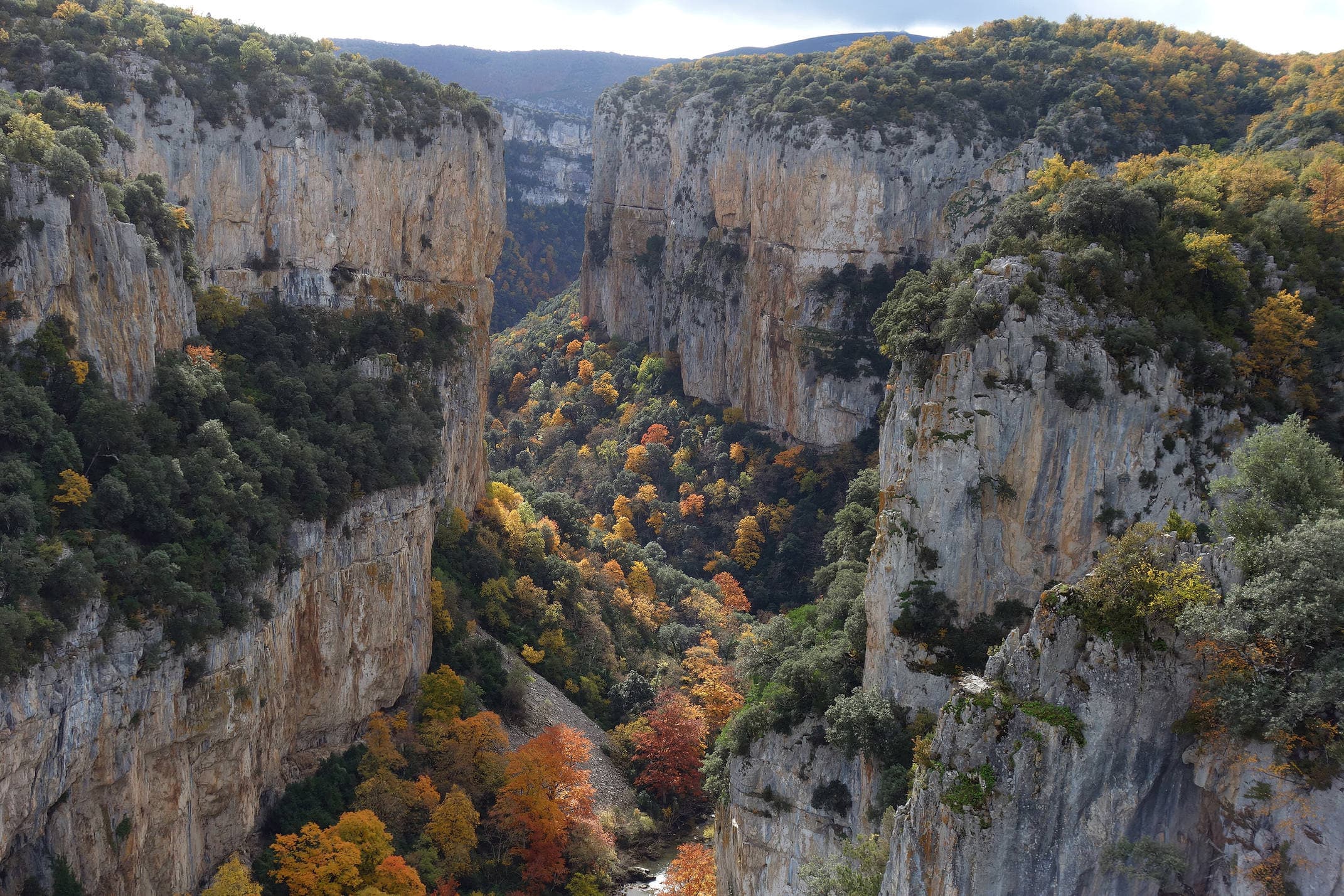 Spain navarre pyrenees foz de arbayun autumn leaves