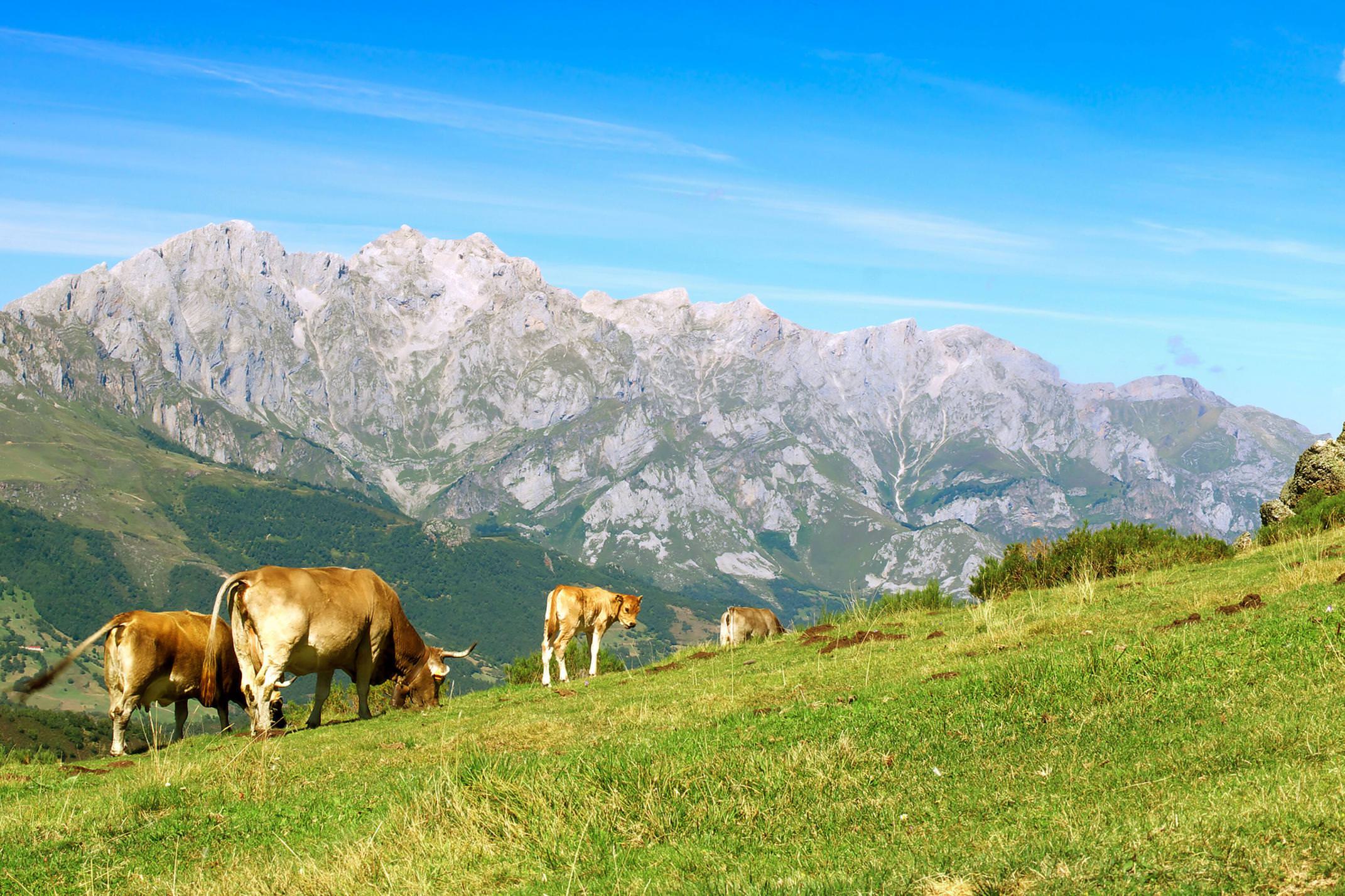 Spain picos de europa liebana c nikholaymikhalchenko