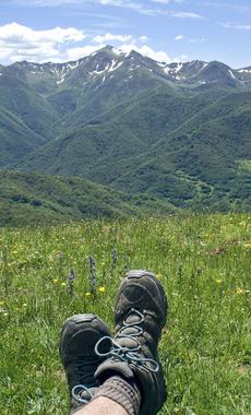 Spain picos de europa liebana meadow c dmartin