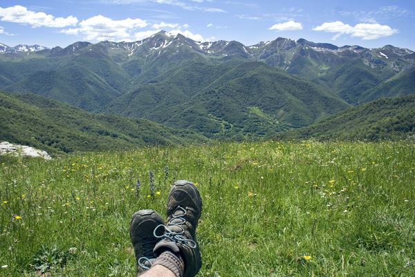 Spain picos de europa liebana meadow c dmartin