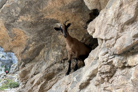 hiking in the picos de europa