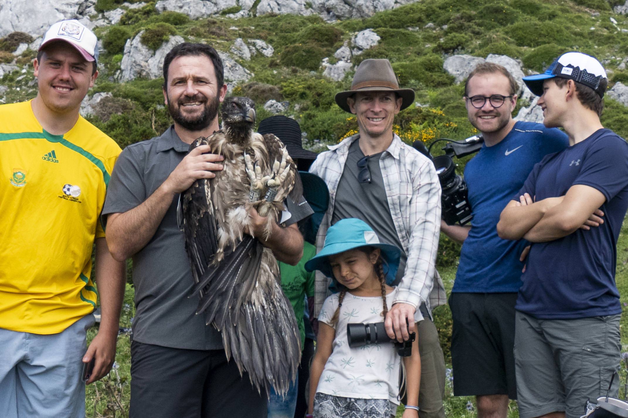 Spain picos pyrenees bearded vulture conservation diego group c diego