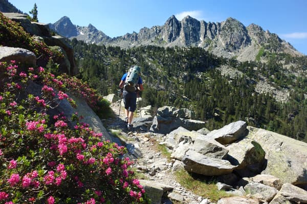 Spain pyrenees catalonia aiguestortes summer gr backpacking rododhendrum 2 c diego pura