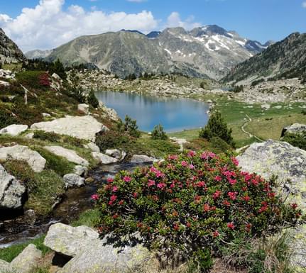 Spain pyrenees catalonia aiguestortes summer roses lake c diego pura