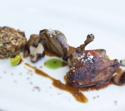 Spain rioja camino hotel viura restaurant quail c viura