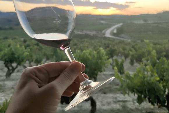 red wine and vineyard in rioja