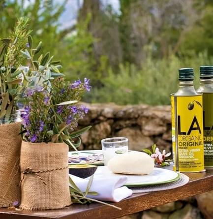 olive grove lunch in andalucia