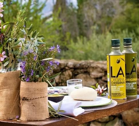 olive grove lunch in andalucia