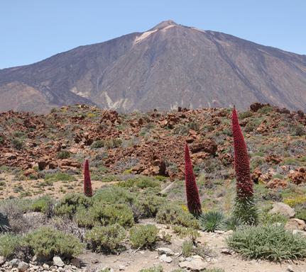 Spain tenerife teide walk to parador chris bladon pura aventura 58 Large