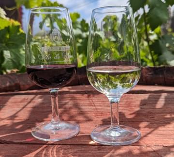 winery tenerife vilaflor