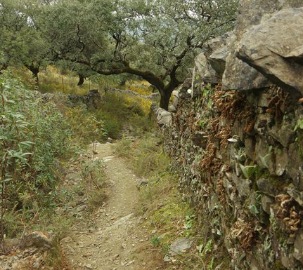 Spain andalucia alajar linares walk copyright chris bladon 5