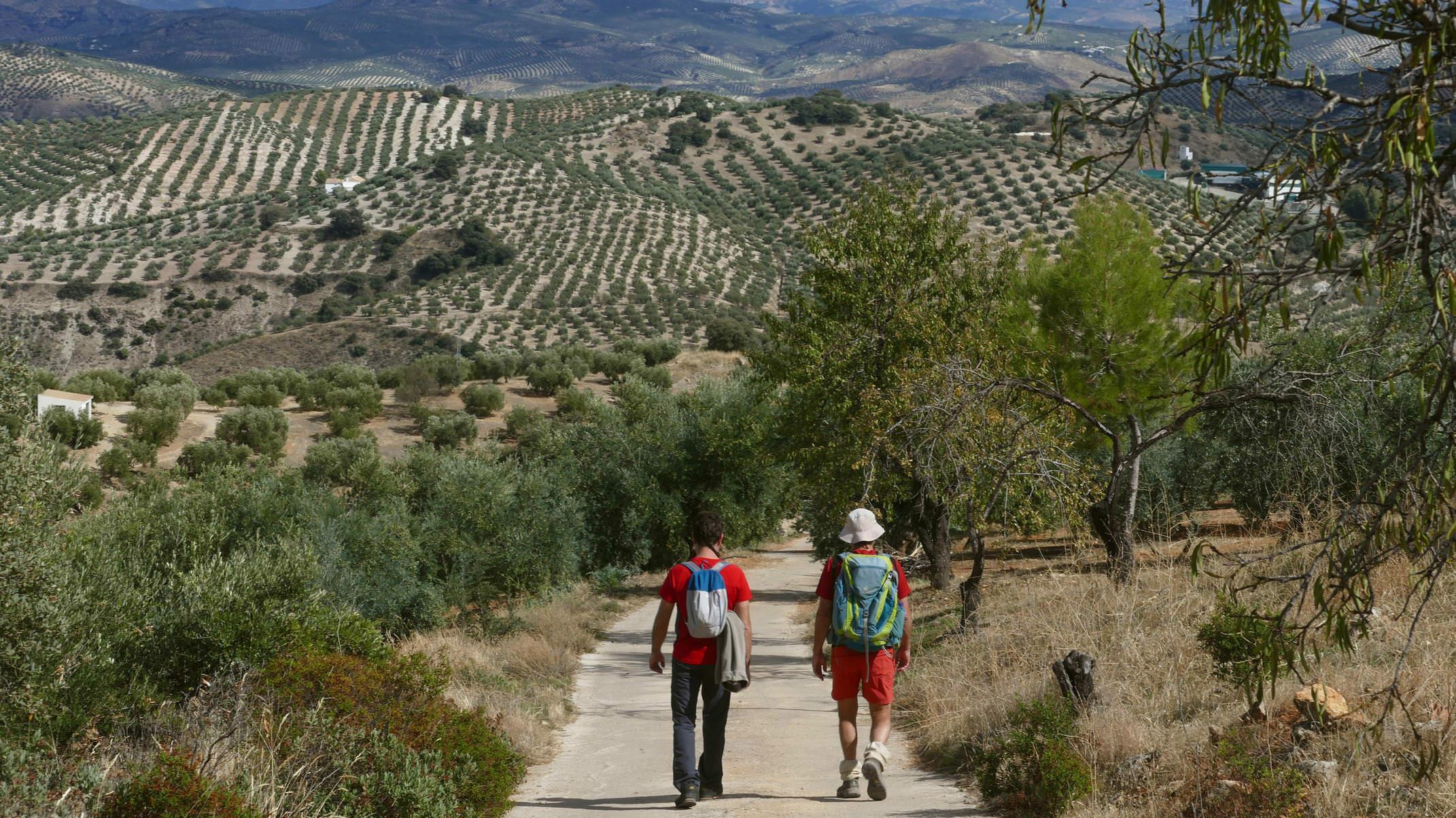 Spain andalucia almedenilla salto caballo circular c pura aventura 19