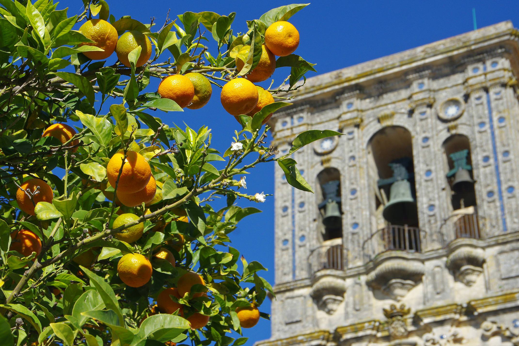Spain andalucia arcos de la frontera chris bladon 17