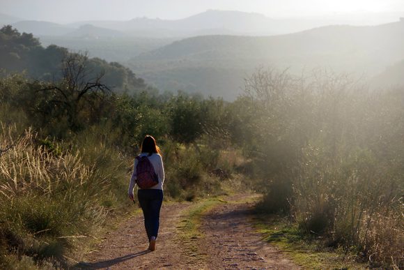 walking olive groves sierras subbeticas