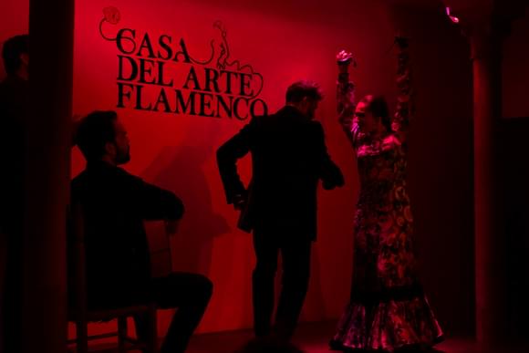 granada flamenco show