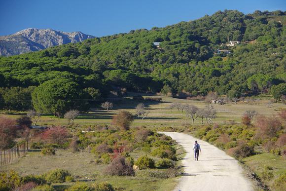 andalucia grazalema Los Frailellicos walk