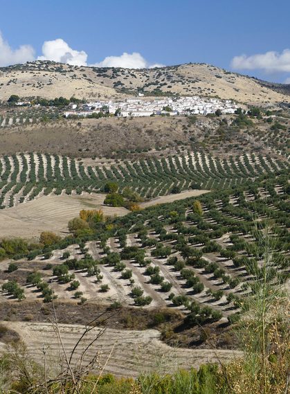 Spain andalucia moclin ruta del gollizno c pura aventura 36