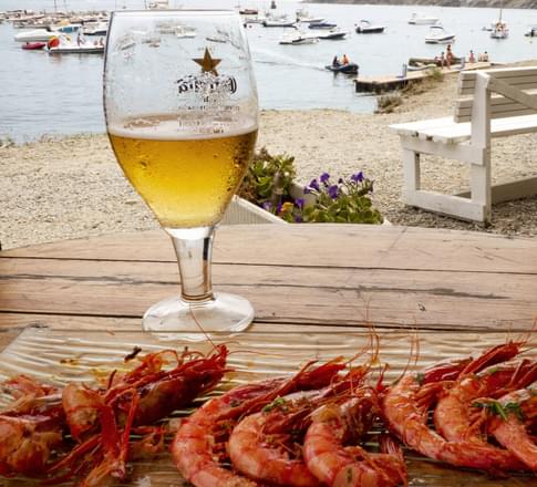 Spain catalonia beer and shrimps cadaquez