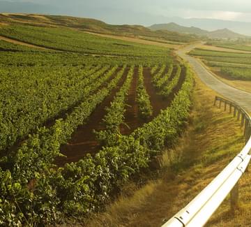 driving rioja sunset