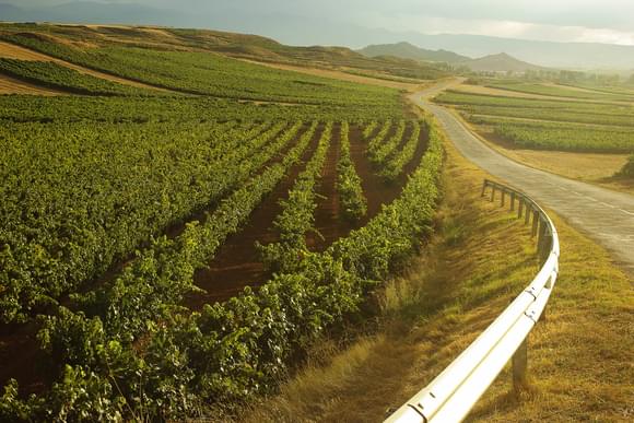 driving rioja sunset