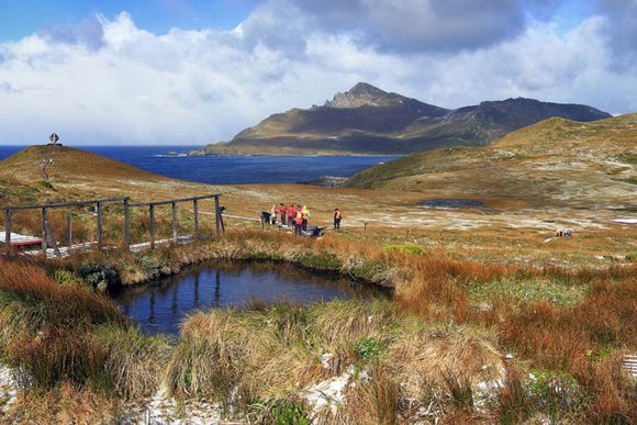 australis cape horn