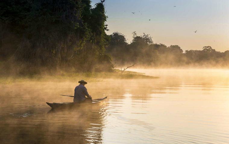 Brazil travel guide amazon rainforest