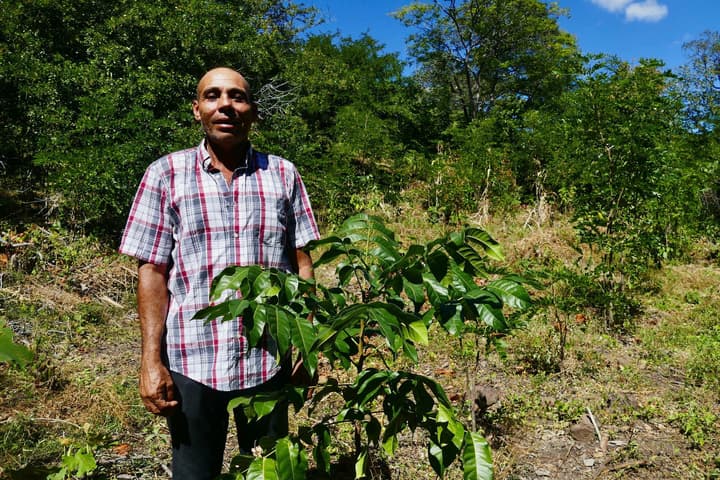 Nicaragua taking root project worker