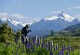 Chile patagonia carretera austral north of coyhaique photographer volcano 2020 11 16 143018