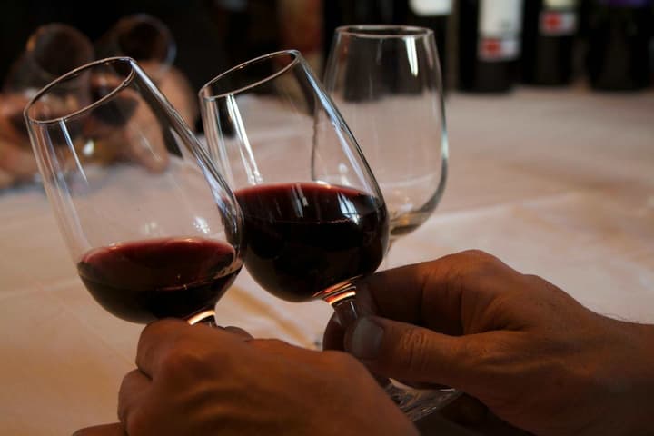 Spain rioja wine tasting red wine