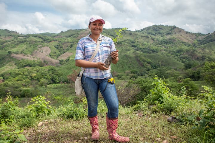 Taking root nicaragua 2013 planting technician berta with treeling